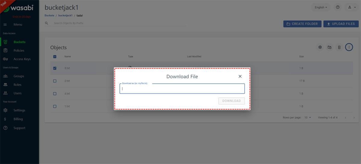 Fill in the File Download Type