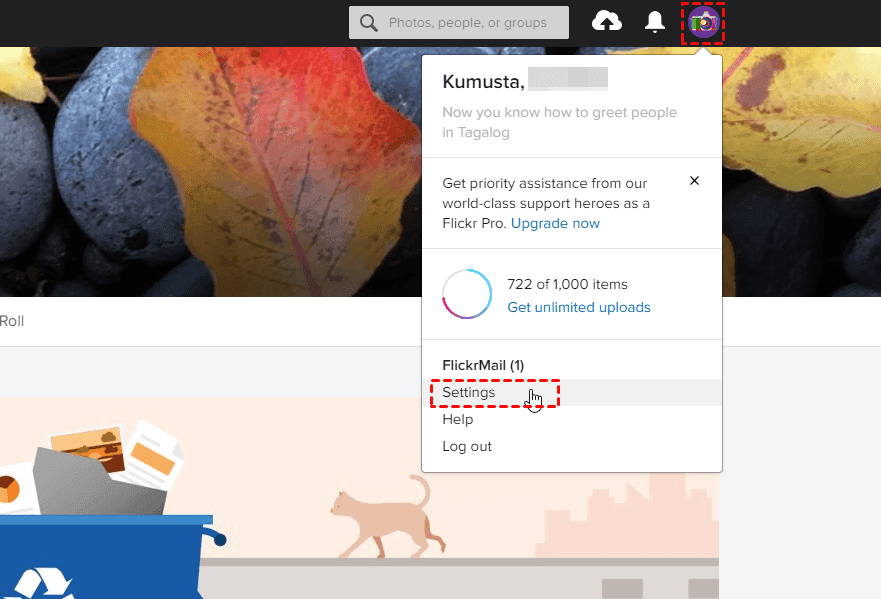flickr-settings