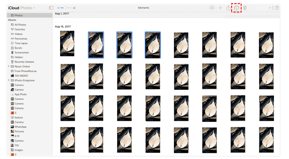 Select iCloud Photos to Download