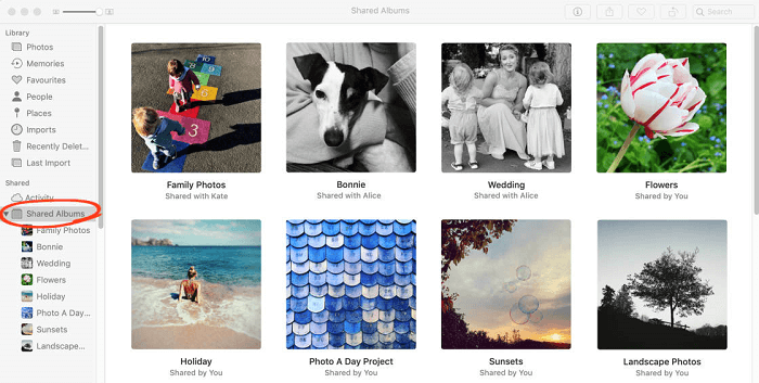 Shared Albums on Mac