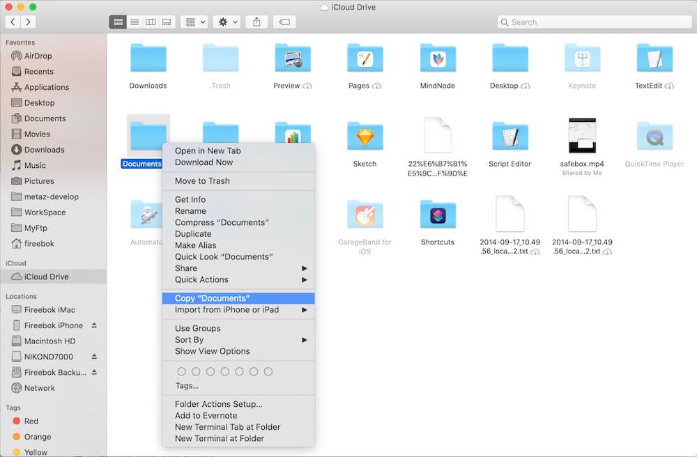 Copy Files from iCloud Drive on Mac