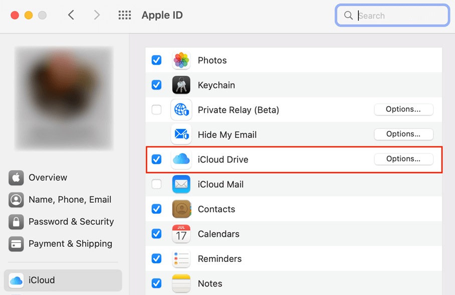 Select iCloud Services to Sync on Mac
