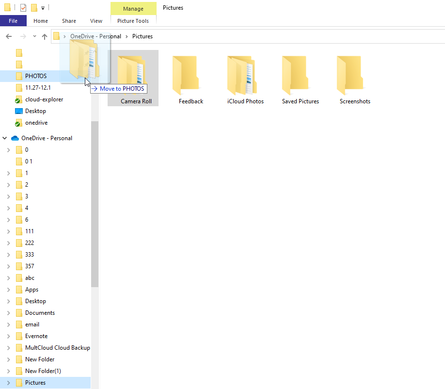 Drag and Drop the Photo Folder to a Local Folder