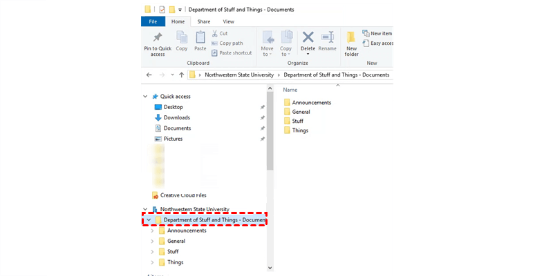 Shared Library on File Explorer