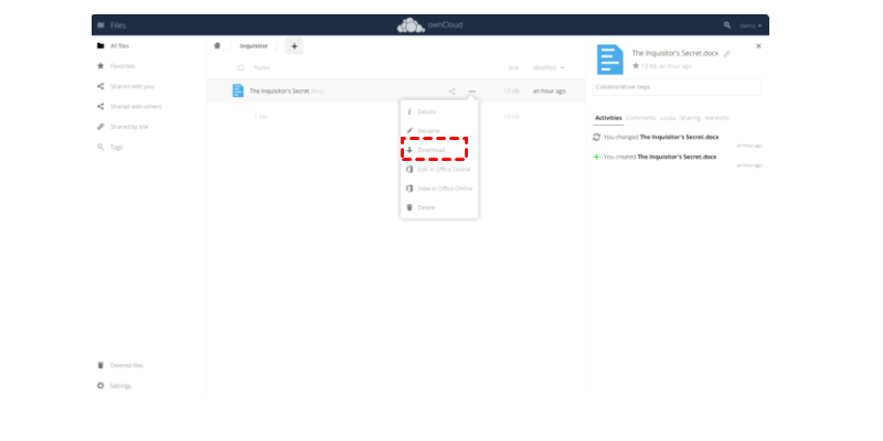 Download from ownCloud