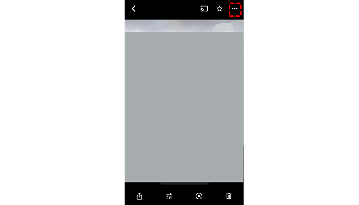 Click 3 Dots to Download Photo from Google Photos