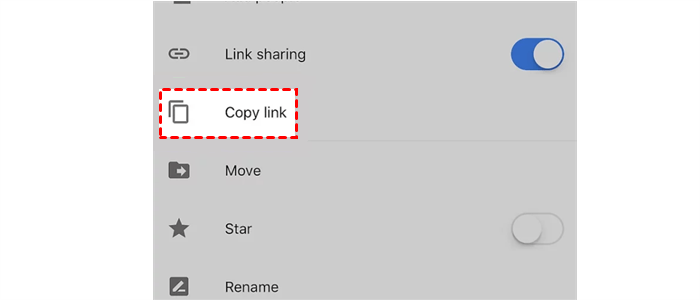 Copy Link