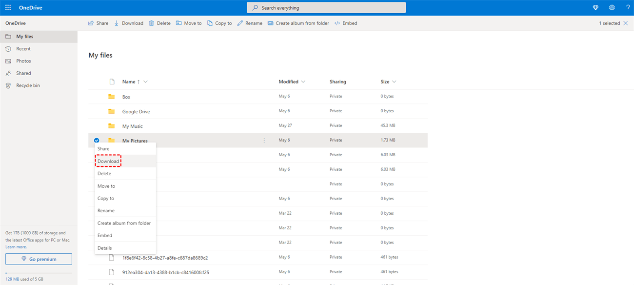 Download from the OneDrive Website