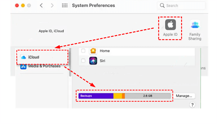 iCloud Storage