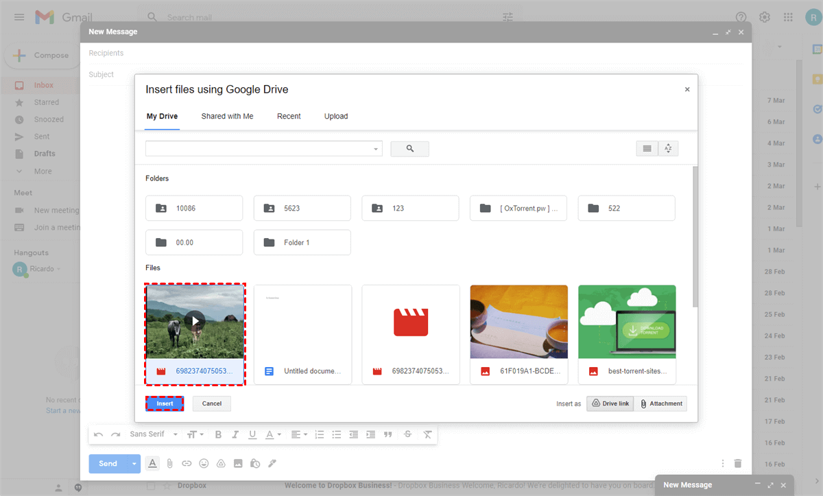 Select Video to Insert to Gmail