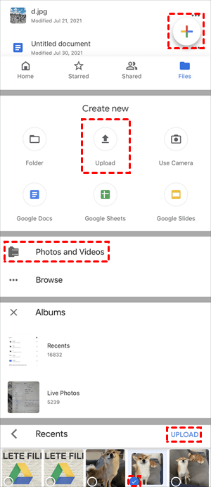 How to Upload Pictures to Google Drive from iPhone