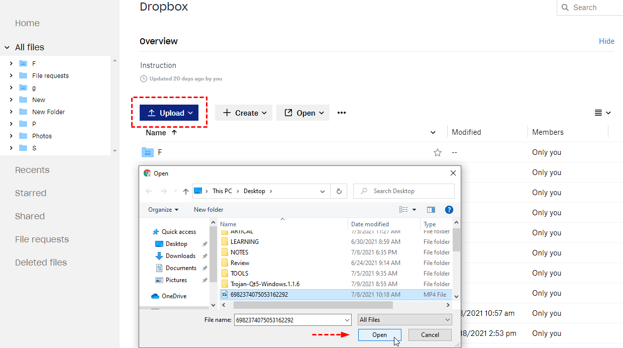 Backup Photos and Videos to Dropbox Website