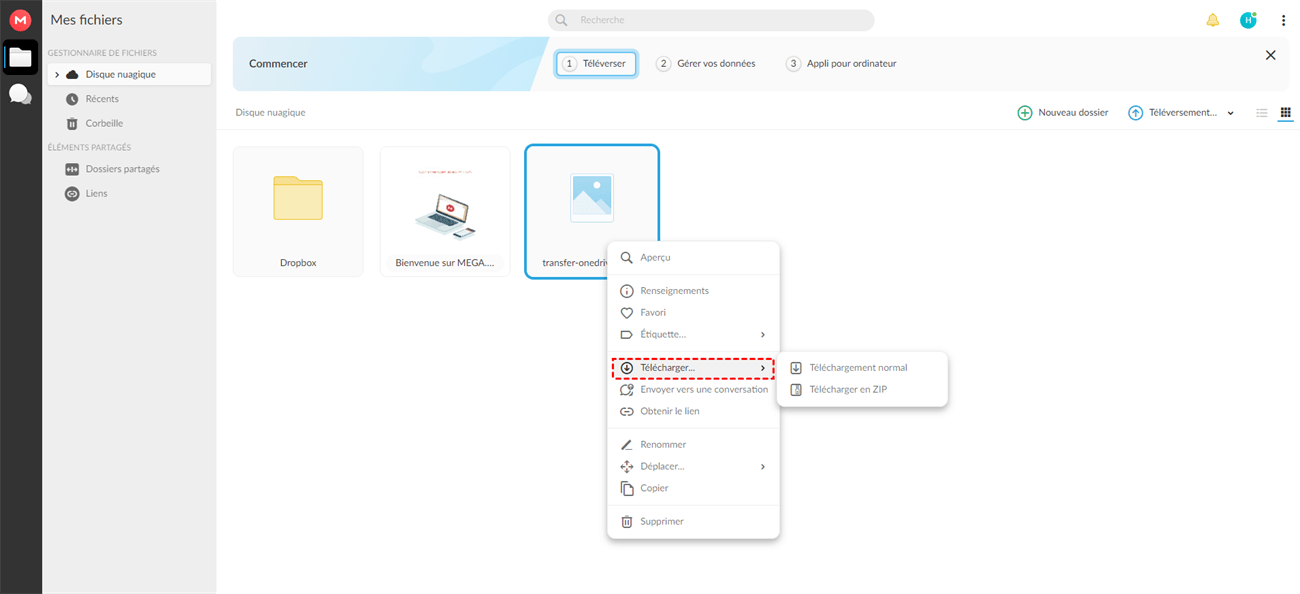 Télécharger des fichiers et des dossiers à partir de MEGA